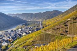 csm_Ediger-Eller_im_Herbst_9addfef34c