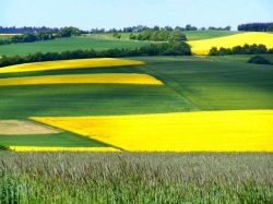 kulturlandschaft_eifel