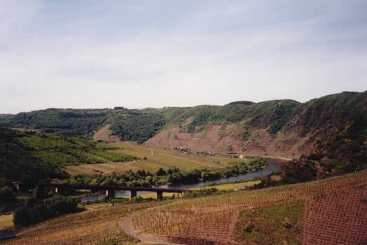 Panorama vom Clamont, dem steilsten Weinberg Europas