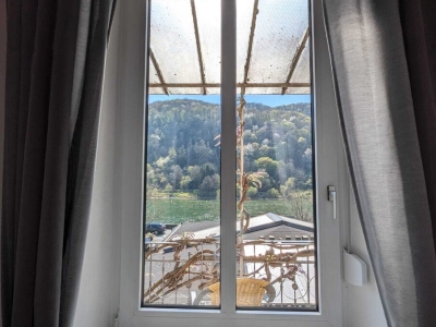 Ausblick Haupthaus.jpg