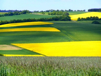 Kulturlandschaft Eifel